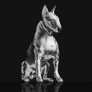 Riskee & the Ridicule - Platinum Statue  LP LP